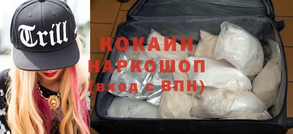 бошки Белокуриха