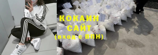 бошки Белокуриха