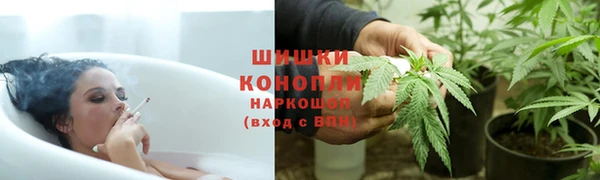 бошки Белокуриха