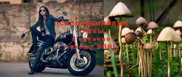 apvp Белоозёрский