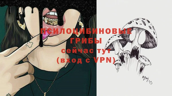 бошки Белокуриха