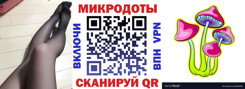 Галлюциногенные грибы Psilocybe  omg ссылка  Вельск  дарнет шоп 