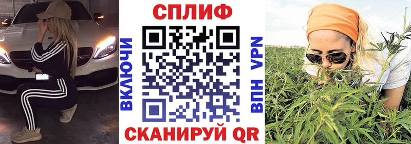 Бошки марихуана сатива Вельск